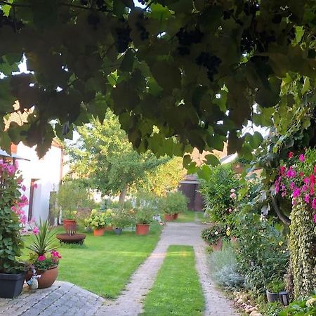 Charmantes Cottage Appartement Pottelsdorf Экстерьер фото