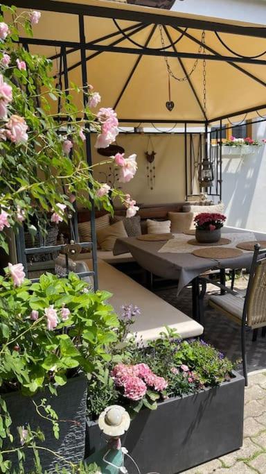 Charmantes Cottage Appartement Pottelsdorf Экстерьер фото