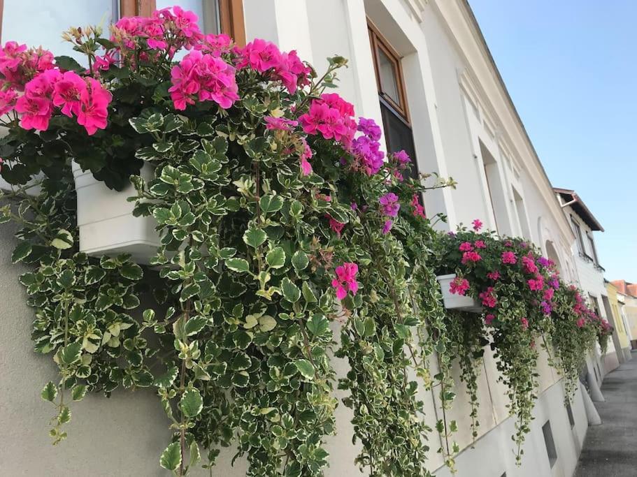 Charmantes Cottage Appartement Pottelsdorf Экстерьер фото