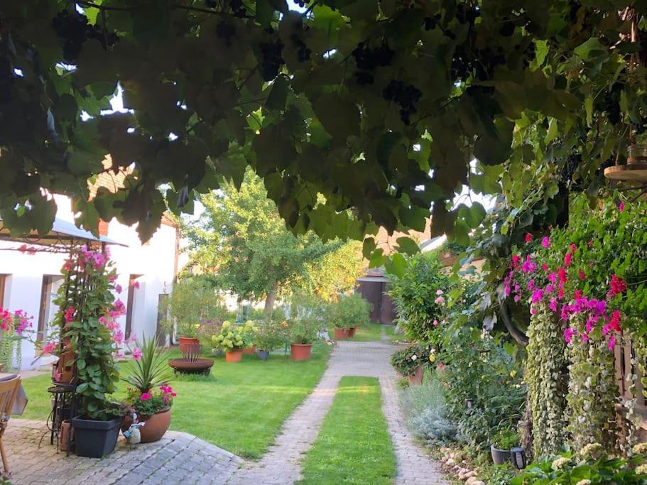 Charmantes Cottage Appartement Pottelsdorf Экстерьер фото